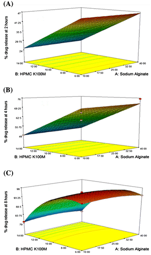 Figure 1. 3D response surface graph showing effects of sodium alginate (X1), HPMC K100M (X2) and sodium bicarbonate (X3) on (A) % drug release at 2 h (Y2), (B) % drug release at 4 h (Y4) and (C) % drug release at 8 h (Y8).