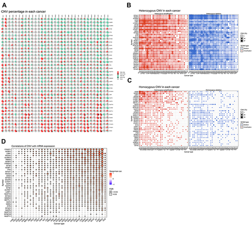 Figure 3 (A) CNV percentage in each cancer. (B) Heterozygous CNV profile show percentage of heterozygous CNV, including amplification and deletion percentage of heterozygous CNV about each gene in each cancer. Only genes with > 5% CNV in cancers will show corresponding point on the figure. (C) Homozygous CNV profile show percentage of homozygous CNV, including amplification and deletion percentage of homozygous CNV about each gene in each cancer. Only genes with > 5% CNV in cancers will show corresponding point on the figure. (D) The mRNA expression and CNV data were merged by TCGA barcode. We test the association between paired mRNA expression and CNV percent samples, based on Person’s product moment correlation coefficient, and follows a t distribution.