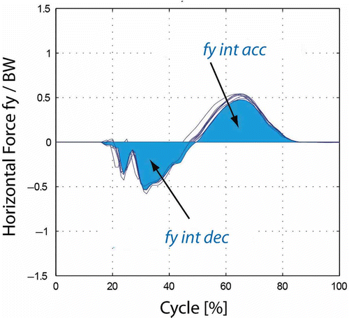 Figure 3. Forces in the running direction for the nine stance phases of a participant. The area under the curve represents the time integral, the momentum during the deceleration phase (integral fy int dec) and the momentum during the acceleration phase (integral fy acc) (Stüssi, Citation1977; Stüssi et al., Citation1978).