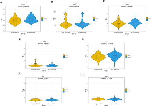 Figure 3 The expressions of JNK1, JNK2, MRP1, MRP2, MRP4, P-gp and LRP1 in NSCLC were analyzed by TCGA Database. Violin plots illustrating the expression differences of each protein between the drug-sensitive group and drug-resistant group. (A) MRP1, (B) MRP2, (C) MRP4, (D) P-gp (MDR1), (E) LRP1, (F) JNK1, (G) JNK2.