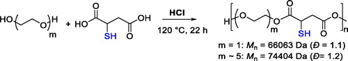 Figure 14. Polycondensation of ethylene glycol or oligo(ethylene glycol) with mercaptosuccinic acid catalyzed by HCl.