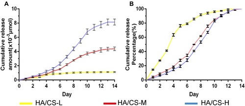 Figure 5 In vitro release profile of HA/CS multilayer surfaces with different concentrations of PAC.Notes: (A) Cumulative release amount. (B) Cumulative release percentage. Data are expressed as mean ± SD (n=3).Abbreviations: CS, chitosan; HA, hyaluronic acid; HA/CS-H, proanthocyanidins-high dose; HA/CS-L, proanthocyanidins-low dose; HA/CS-M, proanthocyanidins-middle dose.