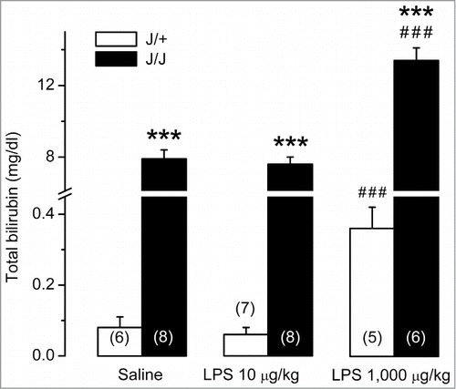 Figure 2. Blood bilirubin levels in J/J and J/+ rats. The total bilirubin level in blood plasma is dramatically higher in saline-treated J/J rats than in saline-treated J/+ controls. The low dose of LPS (10 μg/kg, iv) does not change the bilirubin level in either genotype. In response to the high dose of LPS (1,000 μg/kg, iv), the total bilirubin level increases in both genotypes, but remains substantially higher in J/J rats than in J/+ controls. ***, P < 0.001, intergenotype difference in the response to LPS. ###, P < 0.001, LPS vs. saline difference within the same genotype.