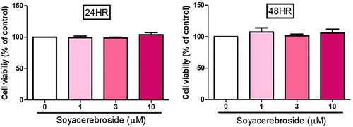 Figure 3. Soya-cerebroside does not induce cell death in EPCs. EPCs were treated with varying concentrations of soya-cerebroside (1–10 μM) for 24 or 48 h and cell viability was determined using the MTT assay. Data represent the mean ± S.E.M.