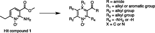 Figure 2. New pyridine N-oxide derivatives and modification sites.