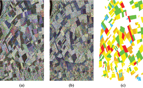 Figure 3. The color composite images of Pauli decomposition of FP SAR data (a: May 28, 2014; b: August 18, 2014; c: ground-truth data (blue, brown, red, green, and yellow plots are barley, corn, potato, sugar beet, and wheat, respectively).