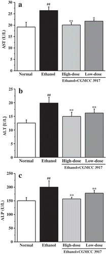 Figure 1. Effects of CGMCC 3917 on the levels of the serum (a) AST, (b) ALT, (c) ALP. Groups are normal, ethanol, ethanol+CGMCC 3917 (108 CFUs/mL), ethanol+ CGMCC 3917 (106 CFUs/mL), respectively. Values are expressed as means ± SDs for 10 mice. ##p< 0.01, compared to the normal mice. *p< 0.05 and **p< 0.01, compared to the ethanol-treated mice, respectively.Figura 1. Efectos de CGMCC 3917 en los niveles de suero (a) AST, (b) ALT, (c) ALP. Los grupos son normal, etanol, etanol + CGMCC 3917 (108 UFC/ml), etanol + CGMCC 3917 (106 UFC/ml), respectivamente. Los valores indican medias ± DE para 10 ratones. ## p< 0.01, en comparación con los ratones normales. * p< 0.05 y ** p< 0.01, en comparación con los ratones tratados con etanol, respectivamente.