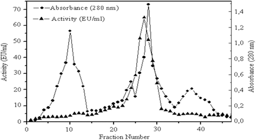 Figure 1.  Sodium dodecyl sulfate-polyacrylamide gel electrophoresis analysis of purified paraoxonase 1 (PON1). Lane 1: standard proteins (kD): aldolase (47,500), triosephosphateisomerase (32,000), soy bean trypsin inhibitor (24,000) Da. Lane 2: PON1 from human serum via Sephadex G-200 gel filtration chromatography.