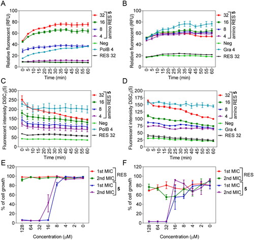 Figure 5. Membrane permeabilization by amino RES 5 in E. coli LMG 8224 (A) and Gram-positive bacteria B. cereus ATCC 10987 (B). RFU, random fluorescence units. C, membrane depolarisation (DiSC3(5)) for E. coli LMG 8224 and B. cereus ATCC 10987 (D). RES, resveratrol control, Pol B positive control and Gra, gramicidin S positive control. The concentrations are expressed in µM. E and F, bactericidal mode of action for E. coli LMG 8224 and B. cereus ATCC 10987 respectively. The data are expressed as % of the cell growth respect the negative control.