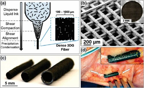 Figure 10. 3D graphene ink printed nerve conduits: (a) 3D graphene ink printed process; (b) SEM and optical (inset) images of graphene-PGA 3D printed; (c) uniaxial multichannel nerve guide of different size; and (d) nerve conduit of 3D graphene ink implanted in human cadaver. Reproduced with permission from (Citation129) © 2015, American Chemical Society.