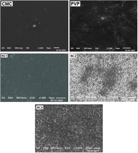 Figure 3. SEM images of selected nanocomposites CMC, PVP, NC1, NC2 and NC4.