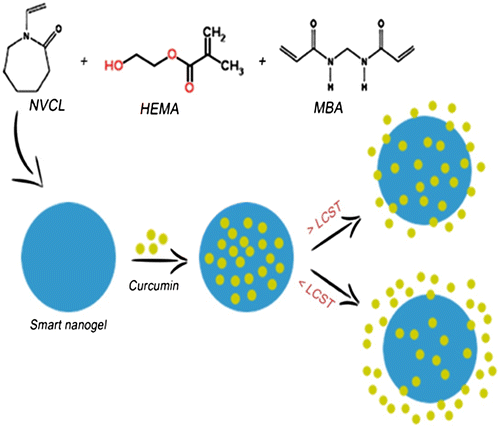 Scheme 1. Temperature-responsive nature of NGs.