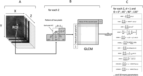 Figure 2. Process of GLCM (Gray level co-occurrence matrix) features extraction from the Region of interest (ROI; A, B, and C: the three steps necessary for the extraction of the GLCM texture features; X: number of pixels in the x axis, 575; Y: number of pixels in the y axis, 700; Z: number of LED, 19; Moy: Mean; Var: Variance; ASM: Angular second moment; CONT: Contrast, CORR: Correlation; CORRN: Non normalized correlation; ENT: Entropy; HOM: Homogeneity; DIAG: Diagonal moment; CSHADE: Cluster shade; CPROM: Cluster prominence).[Citation1]
