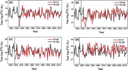Fig. 3. Tree ring δ18O values from young trees (red lines) and old trees (black lines). The dashed line indicates the pith year.