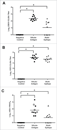 Figure 6. Virus-specific antibody responses elicited in vaccinated HLA-DR3 mice. Serum samples obtained on day 56 from groups of HLA-DR3 mice (N = 10) vaccinated as described in the Methods section were analyzed for anti-EBOV or -VEEV total IgG antibodies by ELISA or for VEEV-neutralizing antibodies by PRNT. Log10 ELISA titers for each mouse are indicated by symbols and group mean log10 titers are represented by black horizontal bars. (A) Significant total IgG anti-EBOV responses were detected in mice receiving the whole-antigen DNA vaccines (*, p < 0.0001) and the multi-epitope DNA vaccine (p = 0.0055) as compared with the negative control vaccine. (B) Significant total IgG anti-VEEV responses were detected in mice receiving the whole-antigen DNA vaccines (*, p < 0.0001) or the multi-epitope DNA vaccine (*, p < 0.0001) as compared with mice receiving the negative control vaccine. (C). Log10 PRNT80 titers for individual mice are indicated by symbols and group mean log10 PRNT80 titers are represented by black horizontal bars. Significant neutralizing antibody responses were generated in mice receiving the whole-antigen DNA vaccines (*, p = 0.0002) or multi-epitope DNA vaccine (*, p = 0.0033) as compared with mice receiving the negative control vaccine. The neutralizing antibody titers of mice that survived VEEV challenge are shown as open symbols.