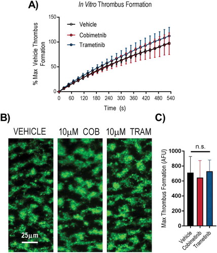 Figure 3. MEK inhibitors do not cause dysfunctional thrombus formation in whole blood. DiOC6 loaded human whole blood was pre-treated with vehicle (black), 10 µM cobimetinib (red) or 10 µM trametinib (blue) for 10 minutes, before perfusion through collagen coated (100 µg/ml) Vena8Biochips at a shear rate of 1000s−Citation1. (a) Real time thrombus formation was determined for 9 minutes by comparing fluorescence intensity in the vehicle and treated samples. Maximum fluorescence observed in the vehicle control was set at 100%. (b) Representative images taken at 9 minutes are shown. (c) Maximum thrombus formation determined by maximum fluorescence and expressed as arbitrary fluorescence units. Results are mean ±S.E.M. for n ≥ 3, * indicates p ≤ 0.05 in comparison to vehicle controls.