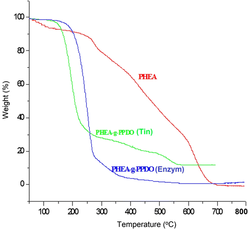 Figure 5 TGA thermograms of PHEA, PHEA-g-PPDO (Tin), and PHEA-g-PPDO (Enzy).