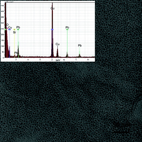 FIG. 6. TEM image and EDS spectrum of the sample of NPs synthesized by pyrolysis of PbTHD2 at TR = 500°C, QR = 1100 cm3/min, and PPbTHD2 = 0.21 Pa.