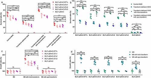 Figure 7. Eftu promotes the viability of E. coli in serum and medium by utilizing holo-transferrin. (a-b) BL21-pEimc, BL21-pEimc-EFTu, BL21-pEimc-δtu1, BL21-pEimc-δtu2, and BL21-pEimc-δtu3 strains were incubated with control HIHS, transferrin-deficient HIHS, transferrin-deficient HIHS supplemented with holo-transferrin or apo-transferrin for 3 h. Bacterial survival ratios were calculated as the ratios of the numbers of bacteria recovered from incubation serums to the numbers of original bacteria. (c-d) BL21-pEimc, BL21-pEimc-EFTu, BL21-pEimc-δtu1, BL21-pEimc-δtu2, and BL21-pEimc-δtu3 strains were incubated with M9 medium, M9 medium supplemented with holo-transferrin, or M9 medium supplemented with apo-transferrin for 3 h. Bacterial growth ratios were calculated as the ratios of the numbers of bacteria recovered from incubation medium to the numbers of original bacteria. Data represent mean ± standard error. Statistical differences were determined using unpaired t test. ns, not significant; *P <0.05; **P <0.005; ***P <0.001.