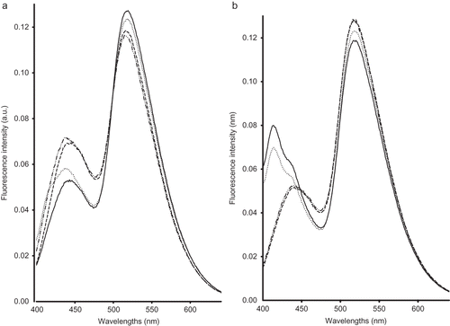 Figure 1 Normalised emission riboflavin fluorescence spectra recorded following excitation at 380 nm on milk samples at the beginning (a) and end (b) of lactation stage of Comisana with pasture feeding (—), Sicilo-Sarde with pasture feeding ( … ), Sicilo-Sarde feeding on scotch bean (− − −), and Sicilo-Sarde feeding on soybean (— .. — ..).