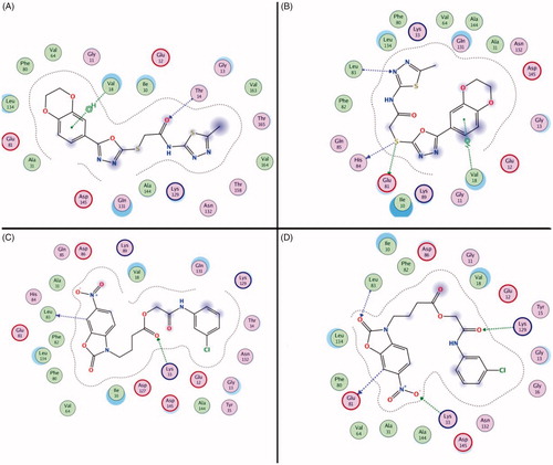 Figure 5. The interaction between the compounds and the amino acid residues in the CDK2 active pockets during the molecular dynamics simulation (Compound 1 in 0 ns and 5 ns was showed in (A and B), Compound 3 in 0 ns and 5 ns was showed in (C and D).