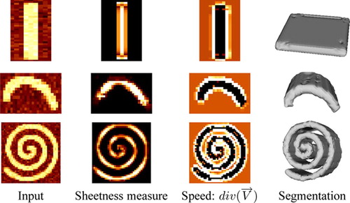 Figure 4. Experiment on synthetic objects. Slices of the input volumes, the sheetness measure, the speed term, and a surface rendering of the segmentation.