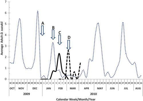 FIGURE 1 Average number of D. suzukii flies captured near selected strawberry fields weekly in traps (dotted line) and numbers of D. suzukii flies reared from strawberry fruit taken from row middles (solid line) and reared from strawberry fruit taken directly from plants (dash line). Arrow A at dotted line indicates the period of 13 continuous days of weather during which freezes occurred daily and few D. suzukii flies were trapped. Arrow B at dotted line indicates the warming period that followed when more D. suzukii flies were trapped. Arrow C at solid line indicates the period of increased rearing D. suzukii flies form cull fruit taken from row middles. Arrow D at the dash line indicates the initial occurrences of rearing D. suzukii flies from sound fruit taken from plants. Eastern Hillsborough Co., Fla. (color figure available online).