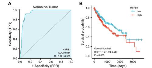 Figure 3 ROC and Kaplan-Meier survival curve of HSPB1. (A) ROC analysis showed HSPB1 was an accurate ability to identify tumor from normal tissue. The AUC was 0.944. (B) The Kaplan-Meier survival curve displayed high level of HSPB1 with a poor prognosis of patient with LIHC.