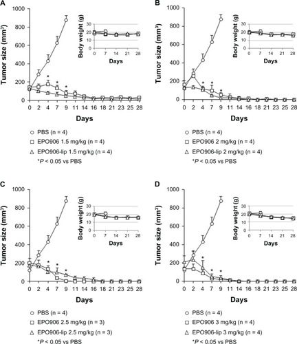 Figure 3 Treatment of Kelly neuroblastoma xenografts with increasing doses (1.5 mg/kg to 3 mg/kg) of EPO906 and liposomal EPO906 formulations. A dose-finding study was performed to determine the optimal dose of EPO906 and EPO906-lip. Treatment with (A) 1.5 mg/kg, (B) 2 mg/kg, (C) 2.5 mg/kg, (D) and 3 mg/kg.Notes: Tumors were induced by subcutaneous injection of 20 × 106 Kelly cells into SCID bg/bg mice. Treatment with EPO906 or EPO906-lip started when the tumor size reached 150–200 mm3, and was performed intravenously once a week for four weeks. Tumor size (mm3) and body weight (g) are presented as the mean ± standard error of the mean. *P < 0.05 versus PBS.Abbreviations: EPO906, epothilone B; lip, liposomes; PBS, phosphate-buffered solution.