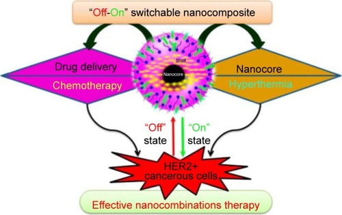 Figure 4 Schematic illustration describing the effective nanocombinations therapy.Notes: Reprinted with permission from Vivek R, Thangam R, Kumar SR, et al. HER2 targeted breast cancer therapy with switchable “Off/On” multifunctional “Smart” magnetic polymer core-shell nanocomposites. ACS Appl Mater Interfaces. 2016; 8(3):2262–2279. Copyright © 2016, American Chemical Society.Citation123