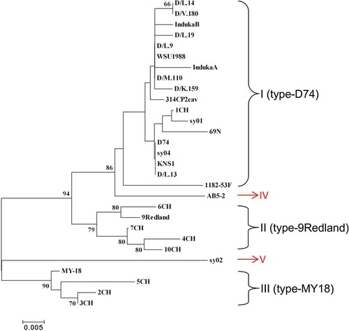 Fig. 3 (Colour online) Phylogenetic tree based on the coat protein (CP) amino acid sequences of 28 Strawberry mild yellow edge virus (SMYEV) isolates retrieved from the NCBI database and the Canadian isolate AB5-2 determined in this study. The tree was reconstructed with MEGA 4.1 using the neighbour-joining method. The numbers at the nodes indicate the percentage of 1000 bootstraps occurring in this group. The scale bar represents the number of substitutions per amino acid.