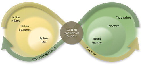 Figure 1. A feminist critical realist social-ecological systems approach to fashion as system. Note: This figure is based on a conceptual framework of linked social–ecological systems first introduced by Berkes, Colding, and Folke (Citation2002). It illustrates the connections between ecosystems, knowledge (as seen in how we manage things), and institutions and indicates how to effectively deal with these connections to enhance resilience and adaptability.