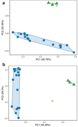 Figure 3. Principal component analysis of linear measurements of the appendicular skeleton of Naracoorte fossil Pedionomus (square), modern Pedionomus torquatus (dots), Charadrius bicinctus (diamond), and Erythrogonys cinctus (triangles) (legend as in Figure 1). Due to a lack of complete specimens, fossil Pedionomus data represents the mean of all fossil specimens. A – whole dataset; B – measurements of Pedionomus specimens with low (<0.08) coefficients of variation. Biplot data indicate negative PC1 values in Figure A and positive PC2 values in Figure B are primarily driven by large size of width values.