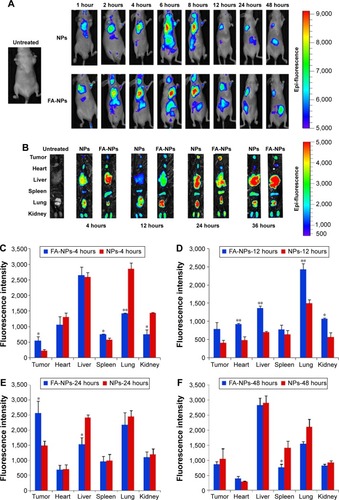 Figure 7 In vivo biodistribution of NPs.Notes: *P<0.05, **P<0.01. Data presented as means ± standard deviation (n=3). (A) In vivo distribution of DiR-labeled NPs via tail-vein injection; (B) ex vivo fluorescence imaging of dissected organs at 4, 12, 24, and 48 hours postinjection. Fluorescence intensity of DiR-NPs and DiR-FA-NPs in different organs and tumors at 4 (C), 12 (D), 24 (E), and 48 (F) hours.Abbreviations: DiR, 1,10-dioctadecyl-3,3,3,3-tetramethyl indotricarbocyanine iodide; NPs, nanoparticles; FA, folic acid.