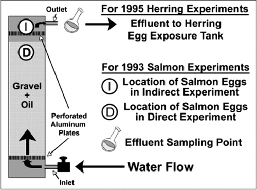 Figure 1 Experimental set-up for the oiled-gravel exposure experiments with salmon embryos (Heintz et al. Citation1999) and herring embryos (Carls et al. Citation1999, Citation2005). The column dimensions for the salmon study were 60 cm × 15 cm diameter and were 122 × 30 cm diameter for the herring study.