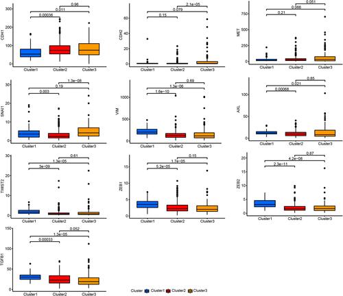 Figure 3 Differences in the expression of EMT-related genes between the LUAD subtypes.