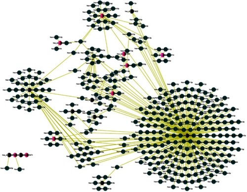 Figure 4 circRNAs-miRNAs network diagram.Notes: The red and black nodes represent circRNA, while the blue nodes represent target miRNAs. Red and black nodes represent upregulation and downregulation, respectively.