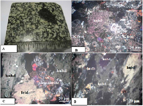 Figure 8. a) A hand specimen of granitoid of alteration zero. b) Photomicrograph of a granitoid specimen showing different mineralogical compositions. c) Photomicrograph of the granitoid specimen showing altered minerals. d) Photomicrograph of granitoid specimen showing pyrite (py), hornblende (hnbd), quartz (qz), feldspar (feld).
