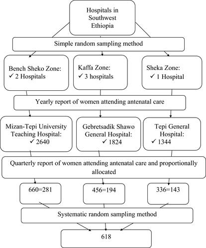 Figure 1 Schematic presentation of sampling procedure for assessing periodontal disease among pregnant women attending ANC in public hospitals, Southwest Ethiopia, 2022.