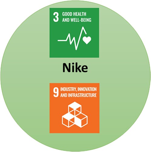 Figure 3. UN SDG goals satisfied by production of shoes.
