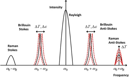Figure 10. Brillouin and Raman scattering events. Reprinted from open access publication.[Citation239]