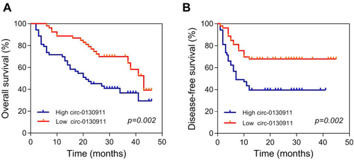 Figure 3 (A) The high level of circ_0130911 expression in HCC tissue indicates that the overall survival rate of the patients is worse. (B) The high level of circ_0130911 expression in HCC tissue indicates that the disease-free survival rate of the patient is worse.