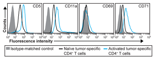 Figure 5. Early activation markers for tumor-specific CD4+ T cells. T-cell receptor (TCR)-transgenic SCID mice (n = 6–12) were injected s.c. with MOPC315 myeloma cells. Six d later, the activation of tumor-specific (GB113+) CD4+ T cells from pooled tumor-draining lymph nodes (LNs) was analyzed by flow cytometry (blue curves). Filled gray areas indicate isotype-matched control stainings of activated T cells. For comparison, naïve tumor-specific CD4+ T cells from pooled LNs from non-injected TCR-transgenic SCID mice are shown (black curves). Data are representative of 2 experiments.