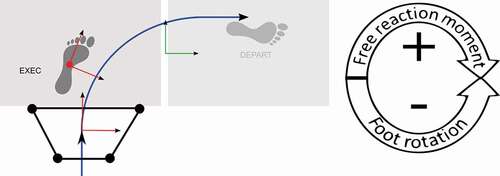 Figure 1. Laboratory set up and orientations. Left: All athletes performed planned full effort 90° sidestepping manoeuvres. GRF was recorded for the execution (EXEC) and depart contact. The free moments, transverse foot and segment orientation, as well as knee joint loading characteristics, were calculated and time normalized within the contact phase of the EXEC contact. Right: A positive FM is associated with a rotation towards the new movement direction, while a negative FM acts against this direction of rotation