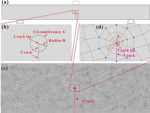 Figure 3. Grid-independent test of ideal crack model, (a) model diagram and node setting method and (b) global mesh generation map and enlarged mesh distribution map of the crack tip.