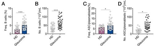 Figure 2 Total B cells and antibody-secreting cells (ASC)/plasmablasts are increased in the peripheral blood of patients with glaucoma. Peripheral blood mononuclear cells (PBMC) were isolated from patients with glaucoma (n=44) and healthy donors (HD, n=36). Total B cells and ASC/plasmablasts were identified as described in Figure 1. The frequency (Freq.) and absolute number (No.) of (A and B) total B cells and (C and D) ASC/plasmablasts in glaucoma patients and HD were shown. *p<0.05, ***p<0.001. Statistical comparisons were performed using unpaired Student’s t-test (two-tailed). The data are represented as means ± SD.