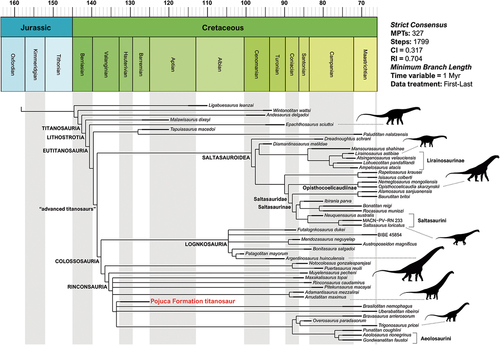 Figure 20. Time-scaled strict consensus tree depicting the phylogenetic relationships of NHM-PV R.2129(a) within Titanosauria, included in an updated version of the matrix of Navarro et al. (Citation2022). Bremer supports are summarised in the supplementary data. Silhouettes from several sources.