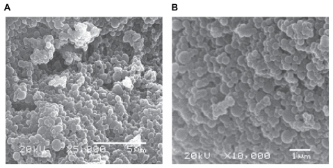 Figure 1 Scanning electron analyses of nanoparticles preparation in magnifications of 5,000 (A) and 10,000 (B) folds. No significant differences were observed among the four obtained systems.