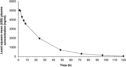 Figure 2. Least square mean (±SE) plasma concentrations of meloxicam after IM (1 mg/kg) administration to unweaned lambs (n = 15 lambs) undergoing hot-iron tail docking and rubber ring castration.
