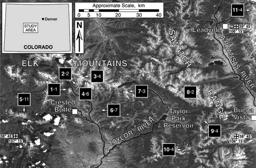 Figure 1 LANDSAT 7 (grayscale) image of the study area showing the locations of rock glaciers sampled. The first number corresponds to the following: 1—Gothic Mountain; 2—Virginia Basin; 3—Copper Creek; 4—Queen Basin; 5—East Beckwith Mountain; 6—Ferris Creek; 7—Italian Mountain; 8—Pieplant Creek; 9—Cottonwood Pass; 10—Cumberland Pass; and 11—Mount Democrat. The second number indicates the number of individual lobes upon which lichen measurements were made at each location.